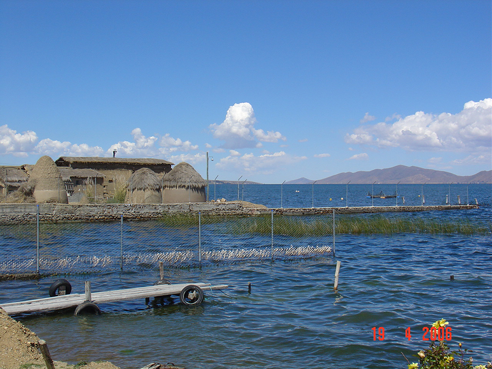 DSC03279.jpg