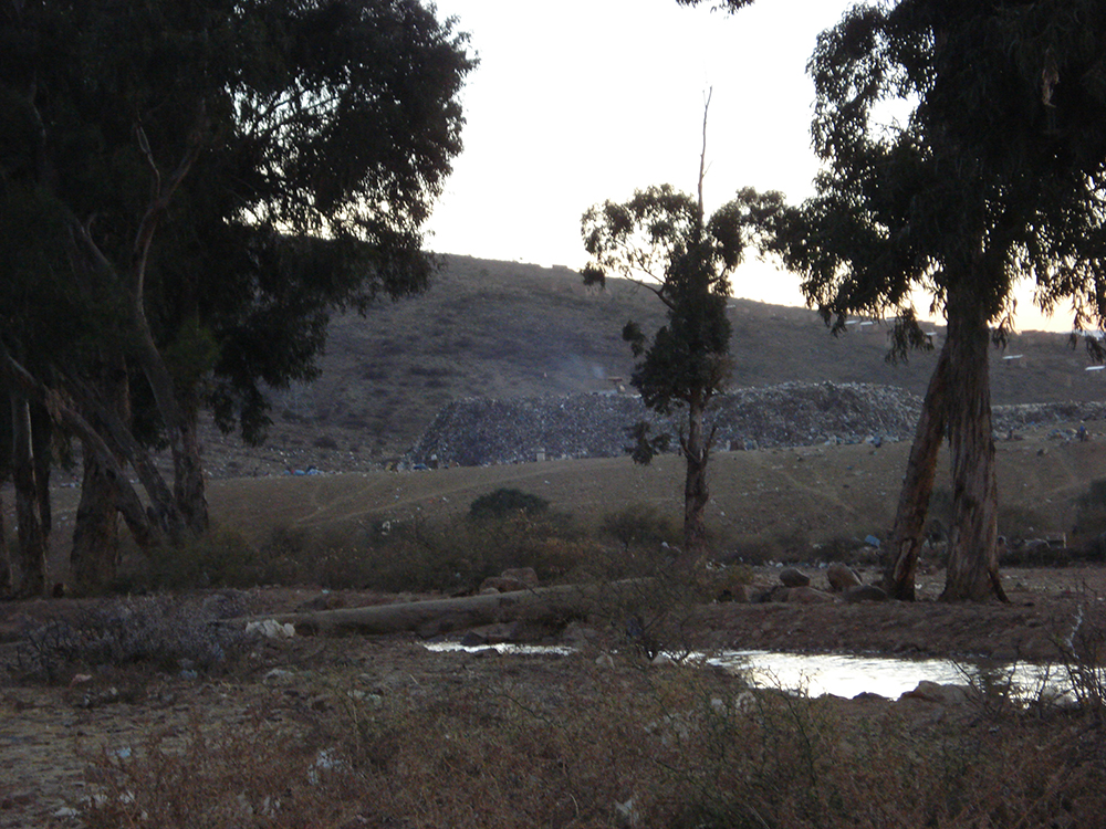DSC00217.jpg
