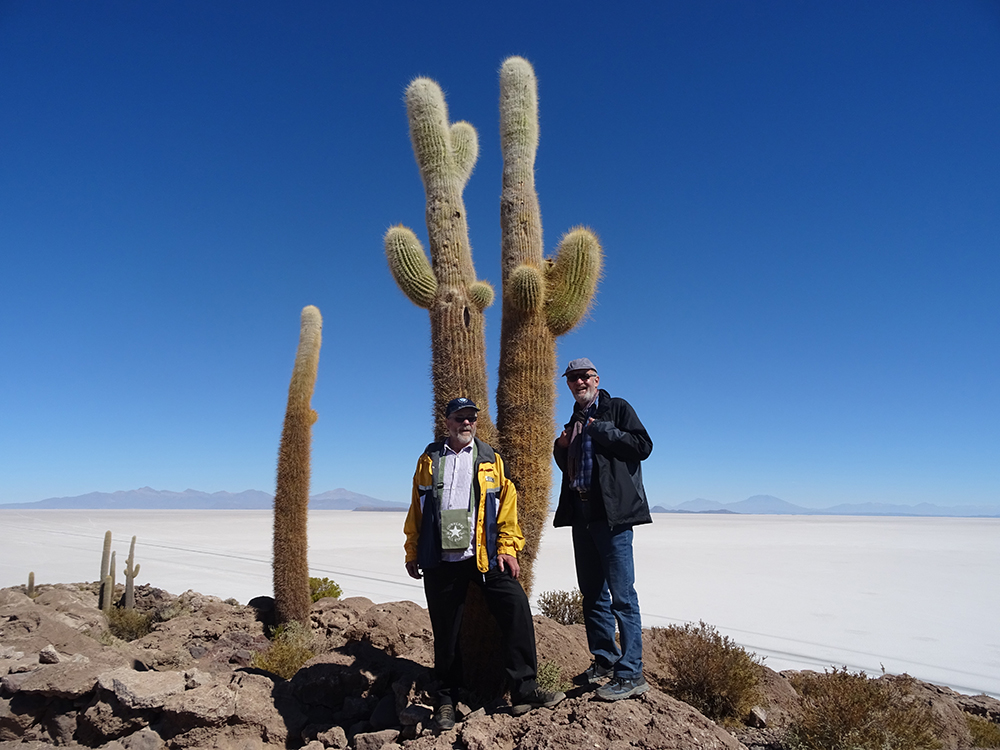 Die Kakteen auf der "Fischinsel" der Salzwüste Uyuni faszinieren immer wieder.
