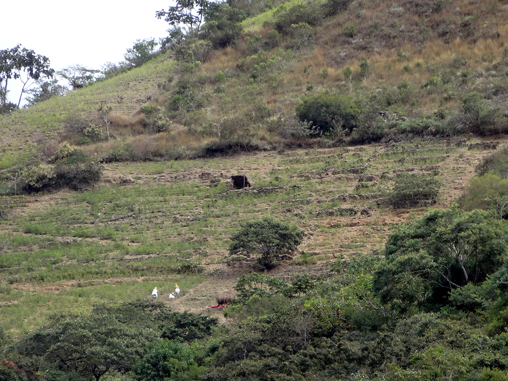 DSC02073.JPG